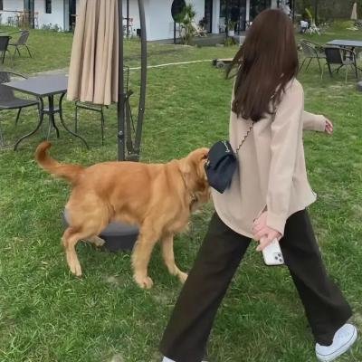 花宵道中